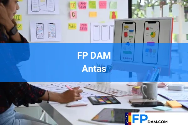 FP DAM en Antas