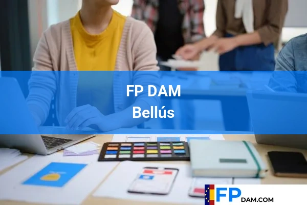 FP DAM en Bellús