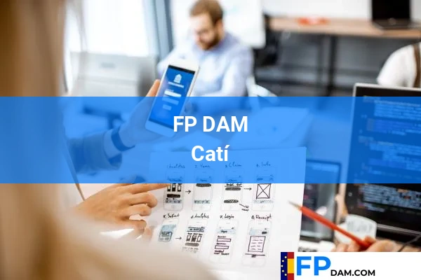FP DAM en Catí