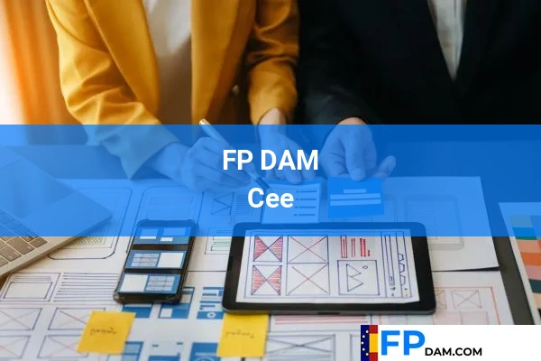 FP DAM en A Coruña 24 FP DAM en Cee
