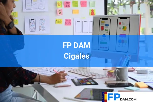 FP DAM en Cigales