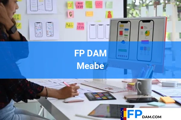 FP DAM en Vizcaya 44 FP DAM en Meabe