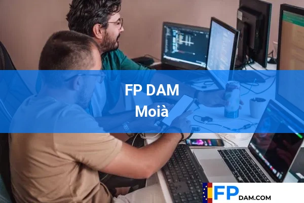 FP DAM en Moià