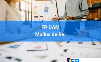 FP DAM en Centre 65 FP DAM en Molins de Rei