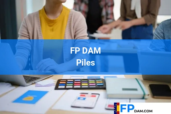 FP DAM en Piles