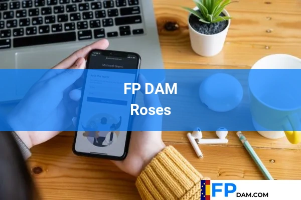 FP DAM en Roses