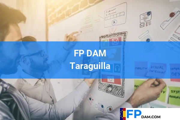 FP DAM en Taraguilla