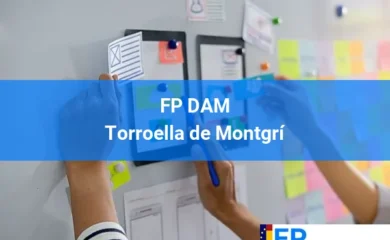 FP DAM en Anglès 35 FP DAM en Torroella de Montgrí